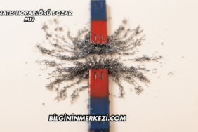 Mıknatıs Hoparlörü Bozar mı?