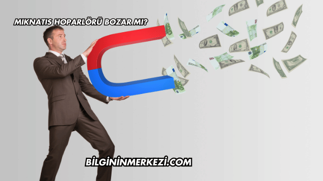 Mıknatıs Hoparlörü Bozar mı?