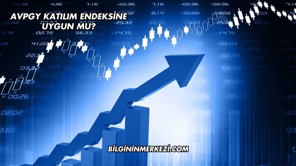 AVPGY Katılım Endeksine Uygun mu?