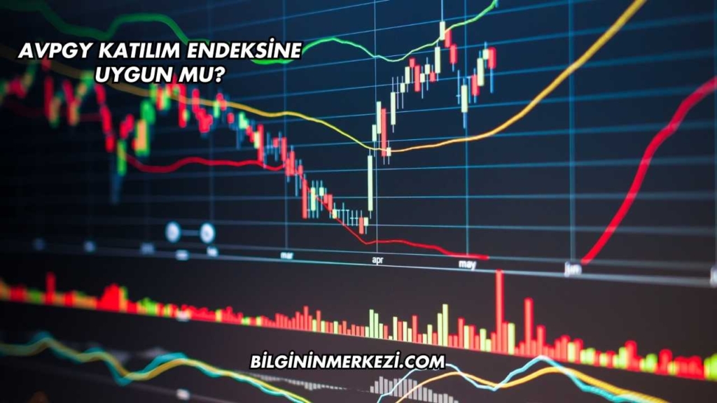 AVPGY Katılım Endeksine Uygun mu?