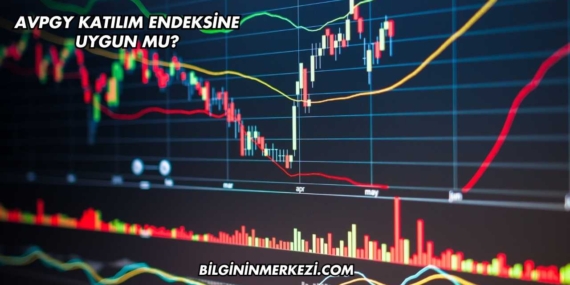 AVPGY Katılım Endeksine Uygun mu?
