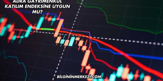 Adra Gayrimenkul Katılım Endeksine Uygun mu?