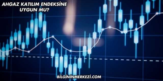Ahgaz Katılım Endeksine Uygun mu?