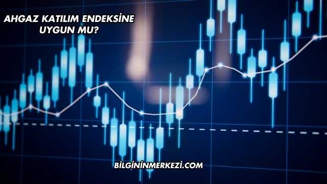 Ahgaz Katılım Endeksine Uygun mu?