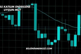 Alfas Katılım Endeksine Uygun mu?