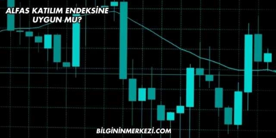 Alfas Katılım Endeksine Uygun mu?