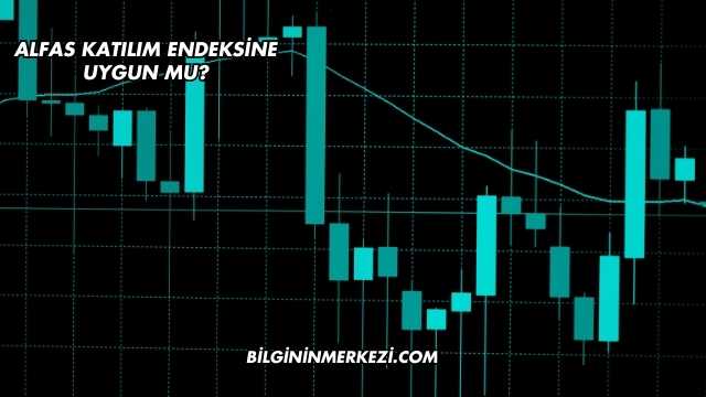 Alfas Katılım Endeksine Uygun mu?