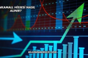 Ankamall Hissesi Nasıl Alınır?