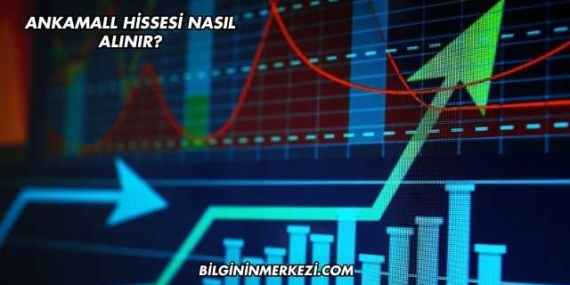 Ankamall Hissesi Nasıl Alınır?