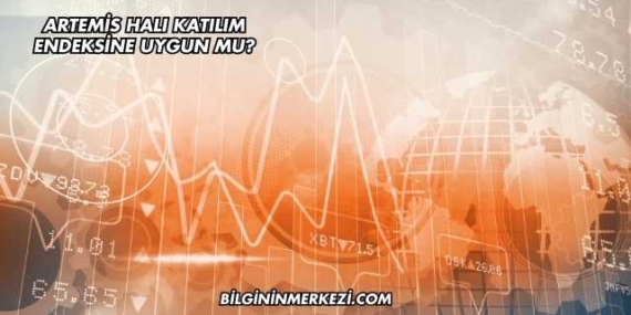 Artemis Halı Katılım Endeksine Uygun mu?