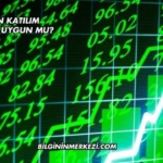 Aselsan Katılım Endeksine Uygun mu?