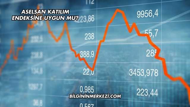 Aselsan Katılım Endeksine Uygun mu?