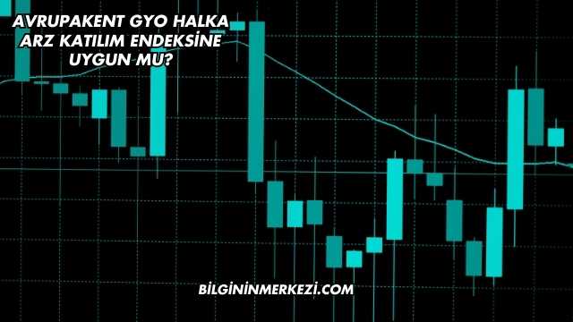 Avrupakent GYO Halka Arz Katılım Endeksine Uygun mu?
