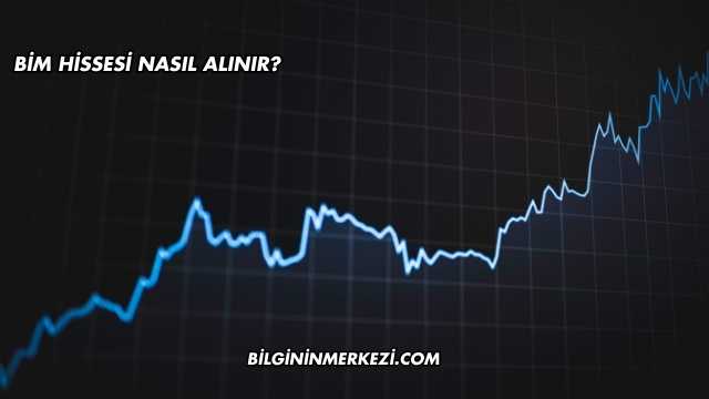BİM Hissesi Nasıl Alınır?