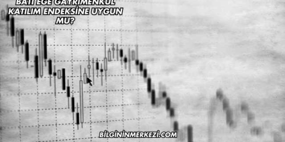 Batı Ege Gayrimenkul Katılım Endeksine Uygun mu?