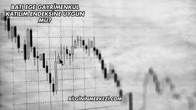 Batı Ege Gayrimenkul Katılım Endeksine Uygun mu?