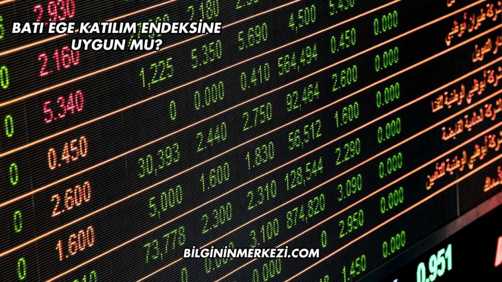 Batı Ege Katılım Endeksine Uygun mu?