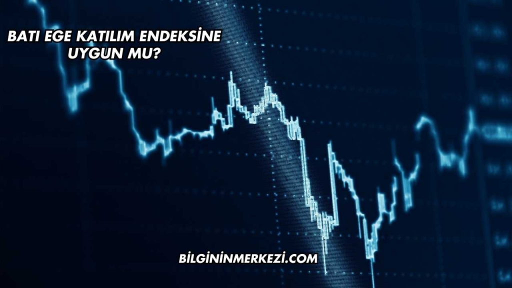Batı Ege Katılım Endeksine Uygun mu?