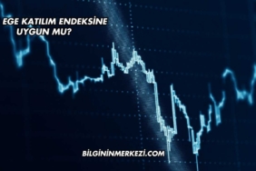 Batı Ege Katılım Endeksine Uygun mu?