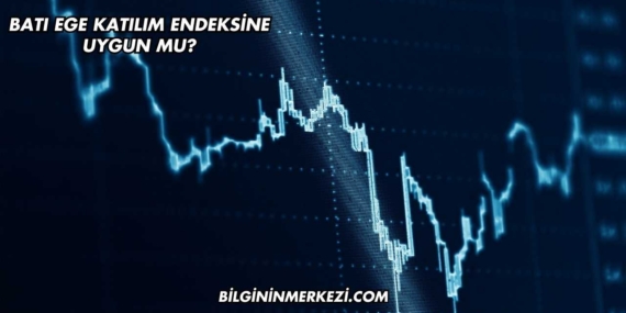 Batı Ege Katılım Endeksine Uygun mu?