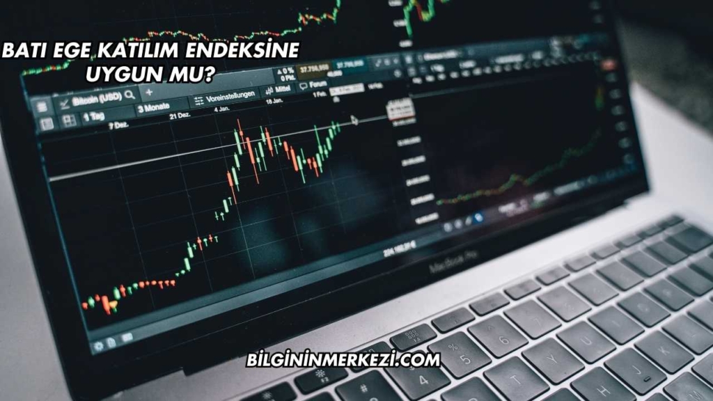 Batı Ege Katılım Endeksine Uygun mu?