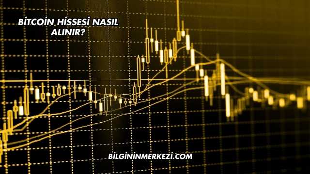 Bitcoin Hissesi Nasıl Alınır?