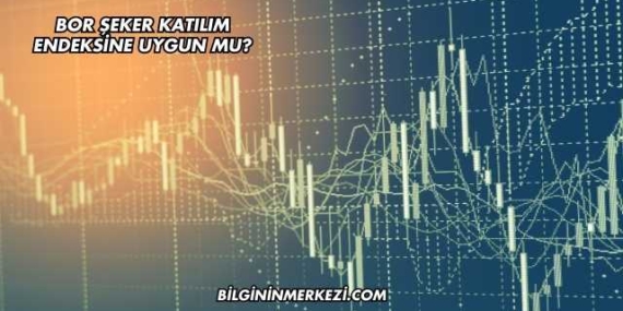 Bor Şeker Katılım Endeksine Uygun mu?