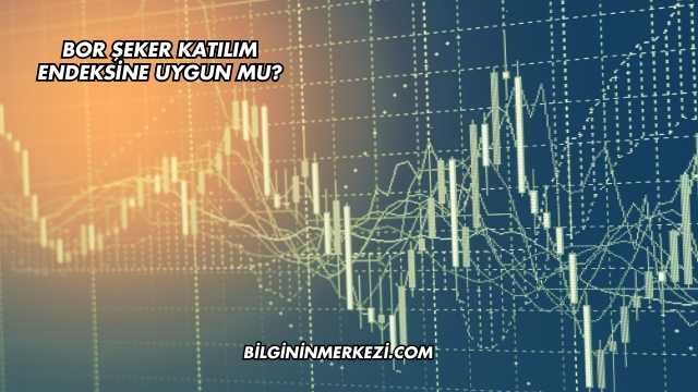 Bor Şeker Katılım Endeksine Uygun mu?