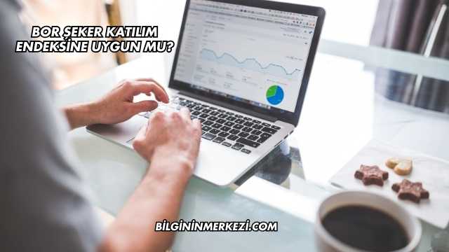 Bor Şeker Katılım Endeksine Uygun mu?