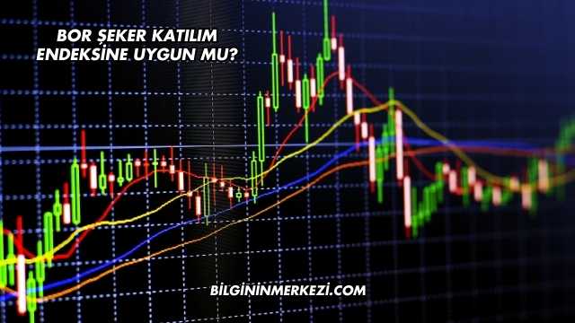 Bor Şeker Katılım Endeksine Uygun mu?