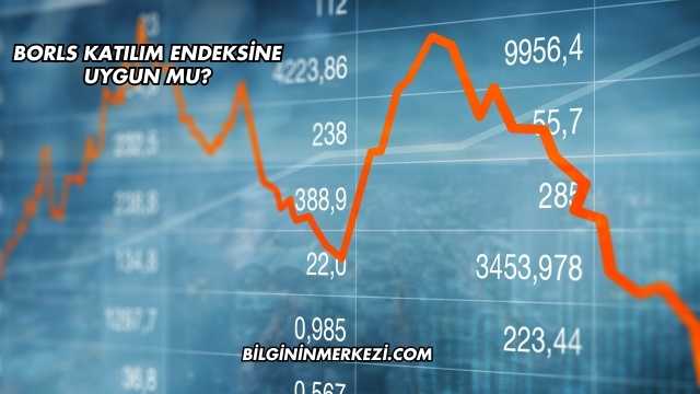 Borls Katılım Endeksine Uygun mu?