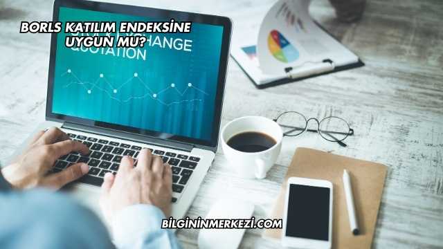 Borls Katılım Endeksine Uygun mu?