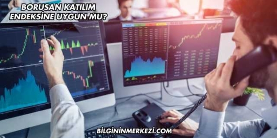 Borusan Katılım Endeksine Uygun mu?