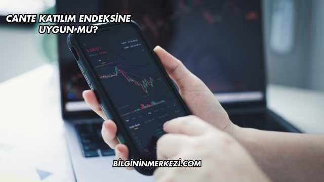 CANTE Katılım Endeksine Uygun mu?