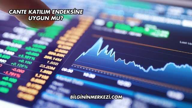 CANTE Katılım Endeksine Uygun mu?