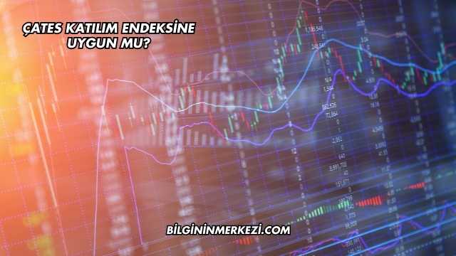 ÇATES Katılım Endeksine Uygun mu?