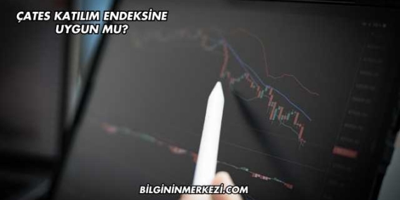 ÇATES Katılım Endeksine Uygun mu?