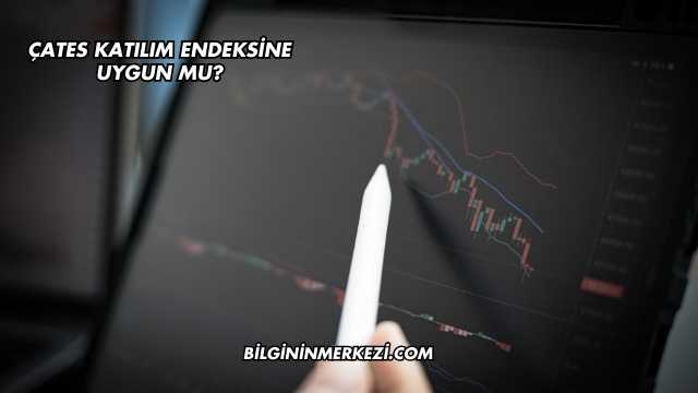 ÇATES Katılım Endeksine Uygun mu?
