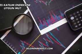 ÇATES Katılım Endeksine Uygun mu?