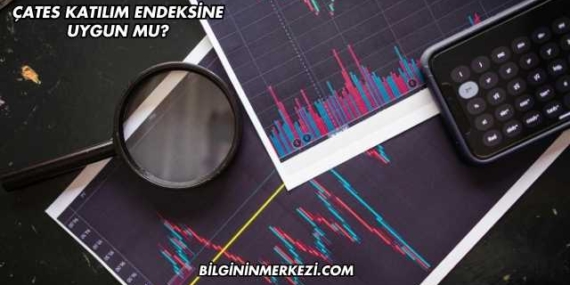 ÇATES Katılım Endeksine Uygun mu?