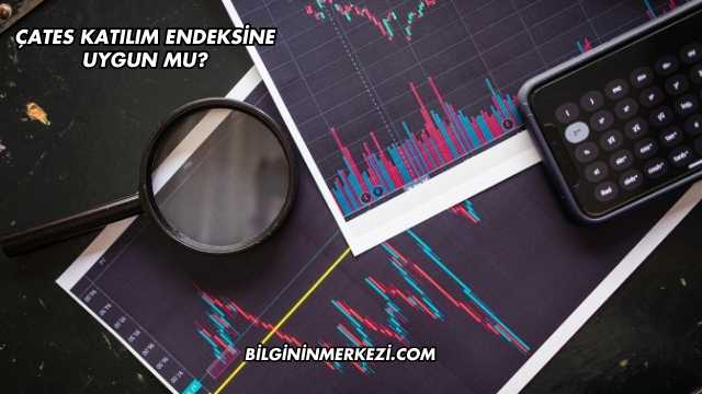 ÇATES Katılım Endeksine Uygun mu?