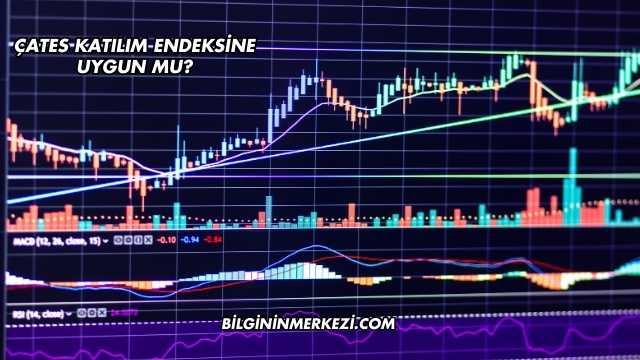 ÇATES Katılım Endeksine Uygun mu?