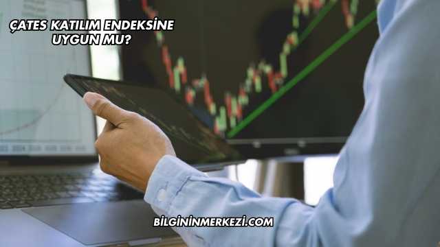 Taten Katılım Endeksine Uygun mu?