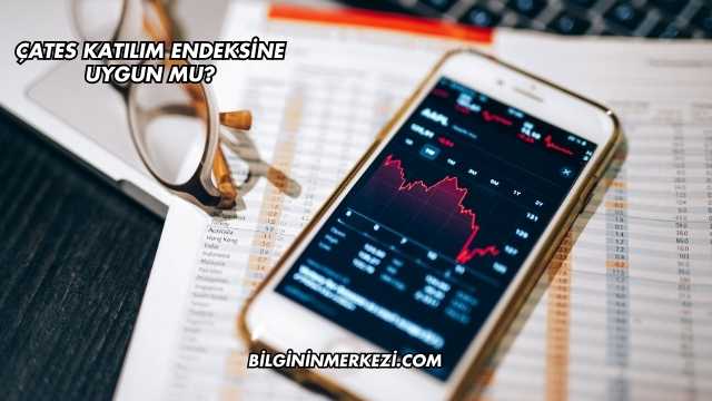 ÇATES Katılım Endeksine Uygun mu?