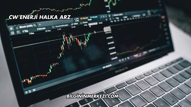 CW Enerji Halka Arz