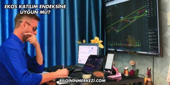 Ekos Katılım Endeksine Uygun mu?