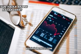 Eksun Halka Arz Ne Kadar Verir?