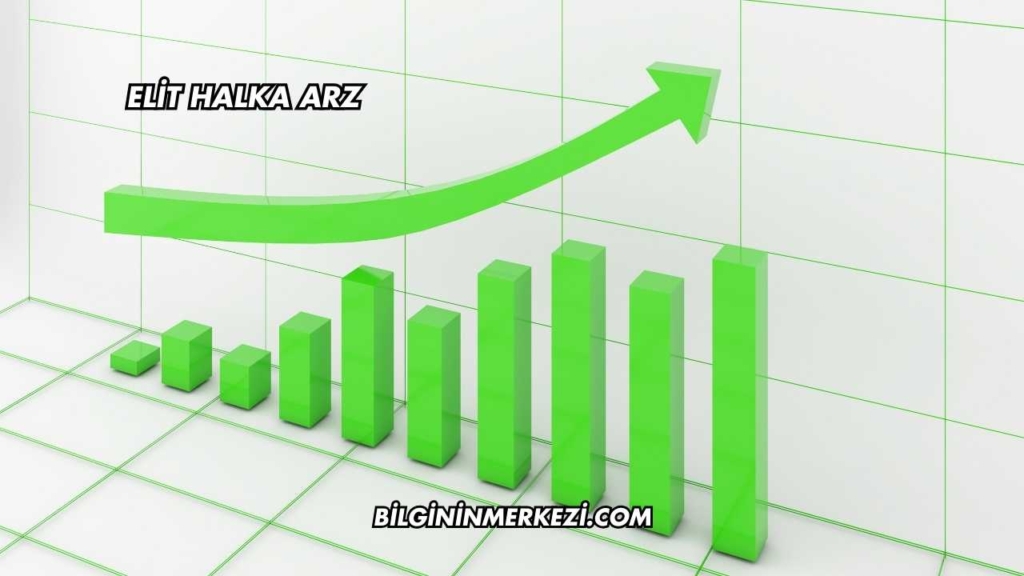 Elit Halka Arz