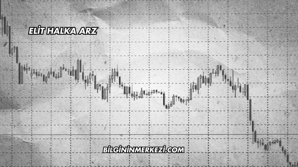 Elit Halka Arz