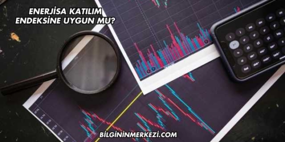 Enerjisa Katılım Endeksine Uygun mu?